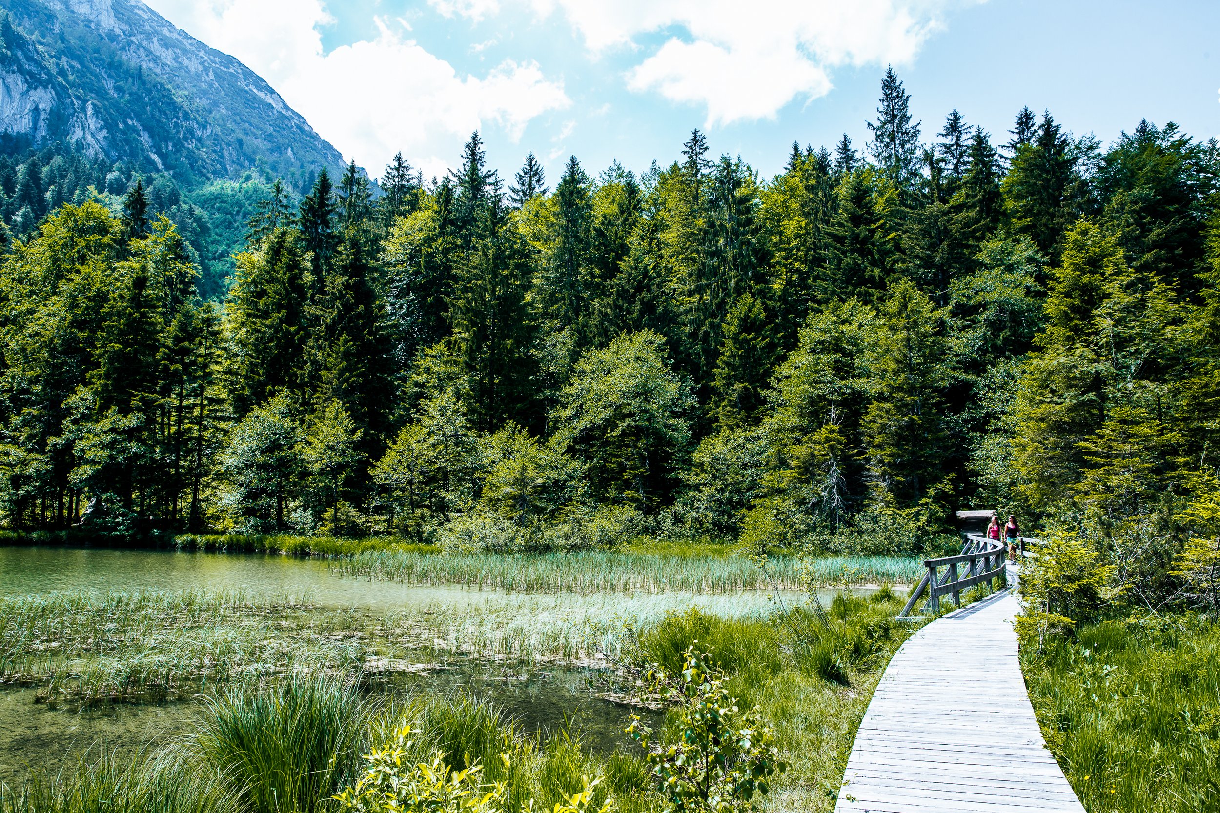 Wooden footbridge on the circular route on the Frillensee in Inzell