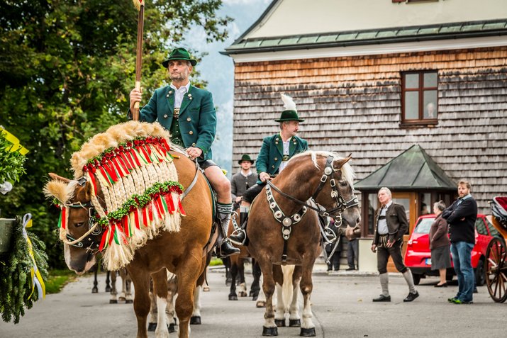 Parade on decorated horses through Inzell