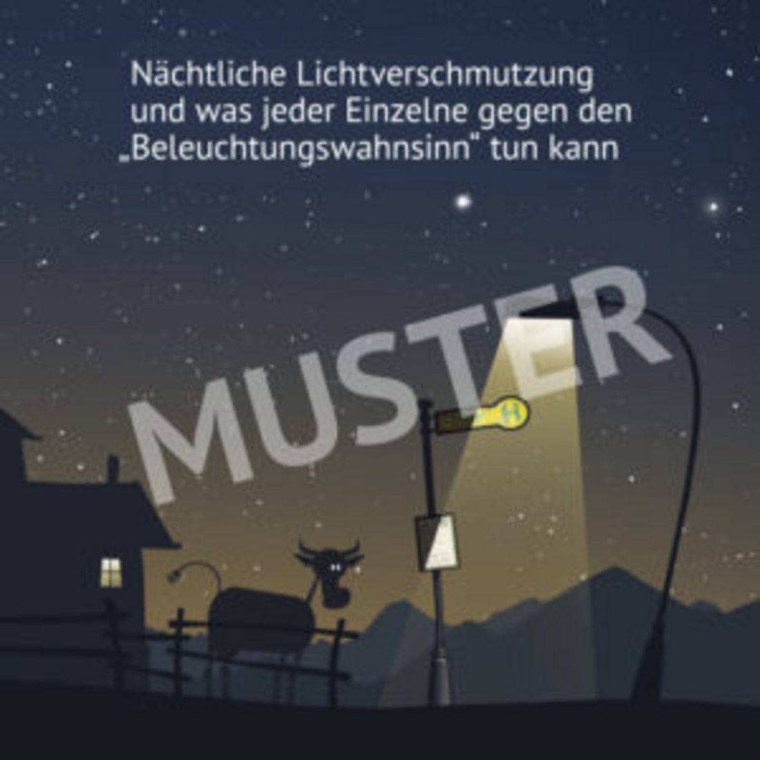 Vortrag "Lichtverschmutzung - Das Ende der Nacht?" mit Manuel Philipp