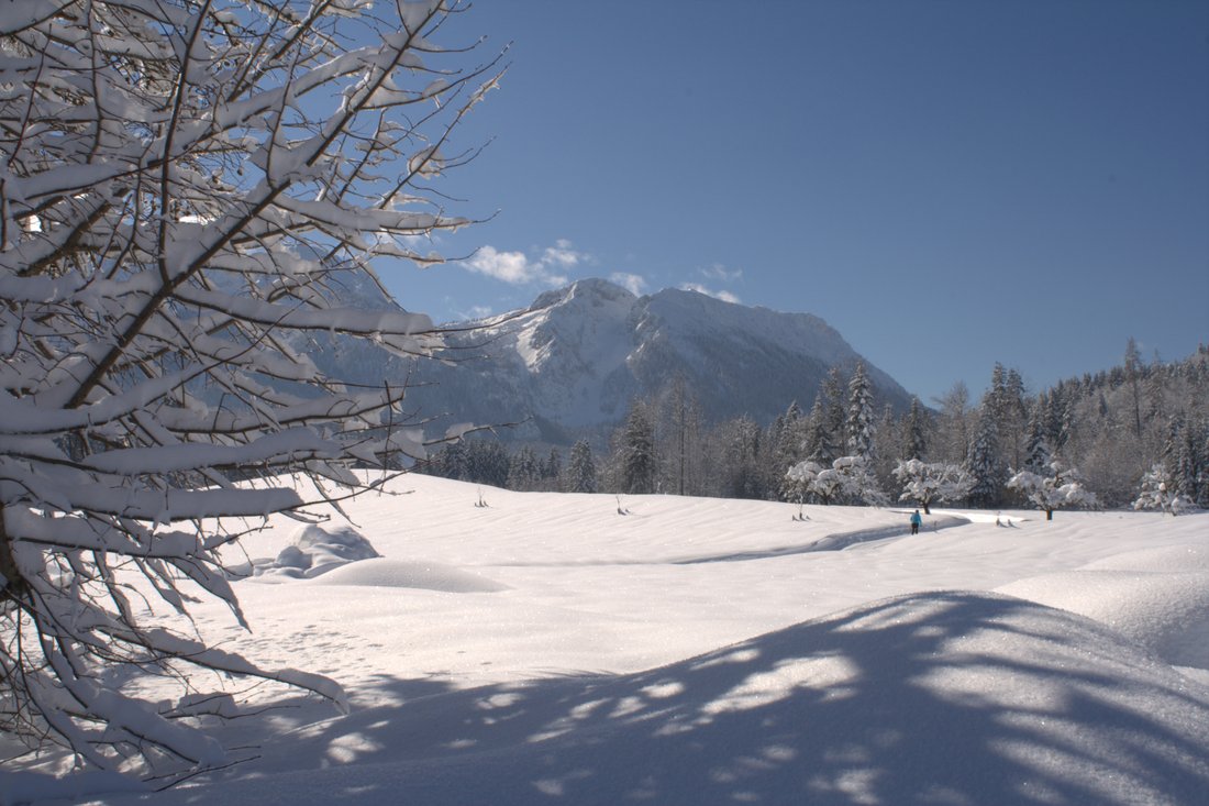inzell winter panorama langlaufen