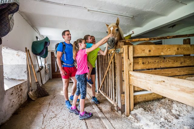 Urlaub auf dem Bauernhof, eine Familie besucht den Pferdestall