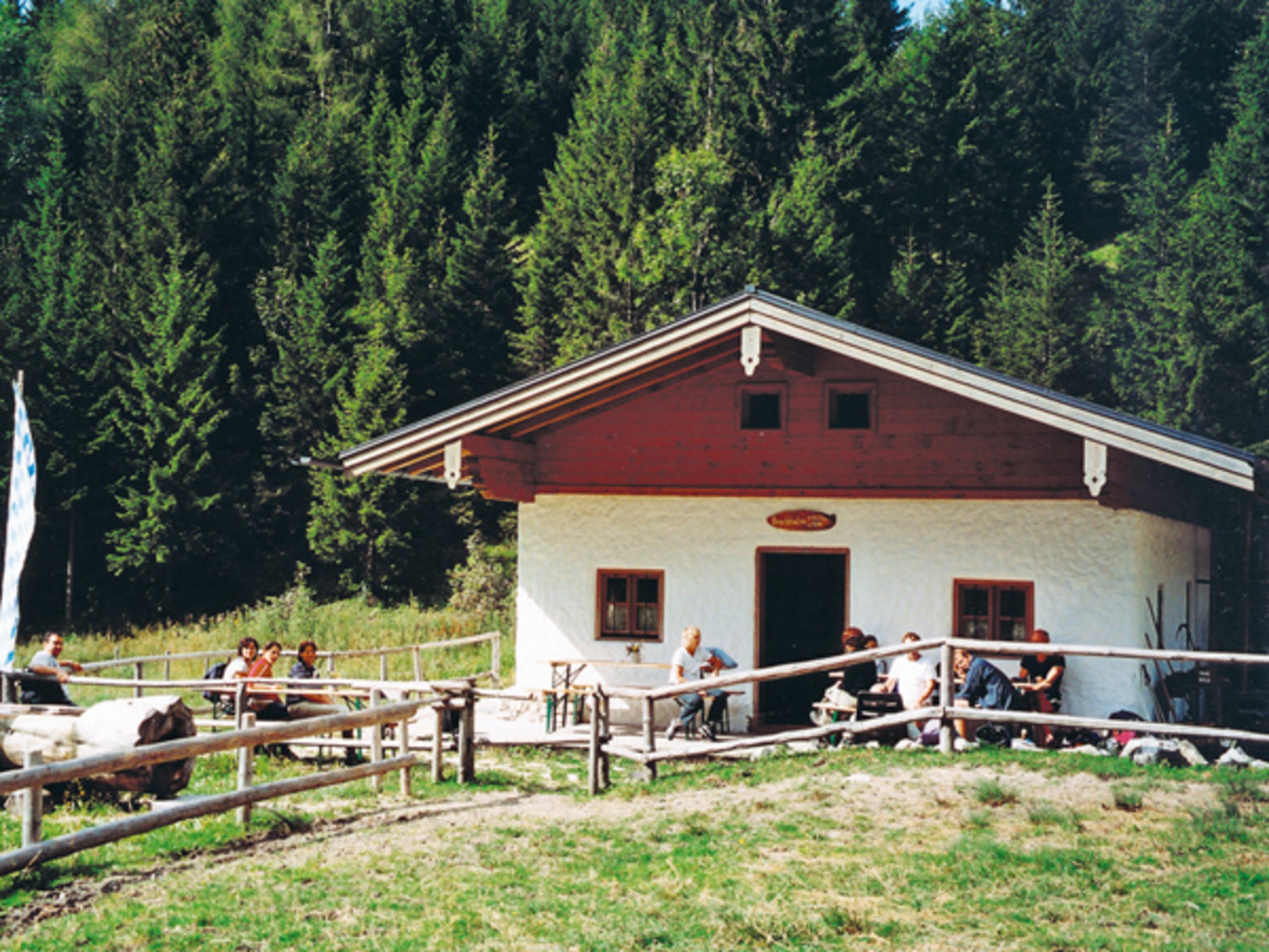 Brachtalm Staudach-Egerndach