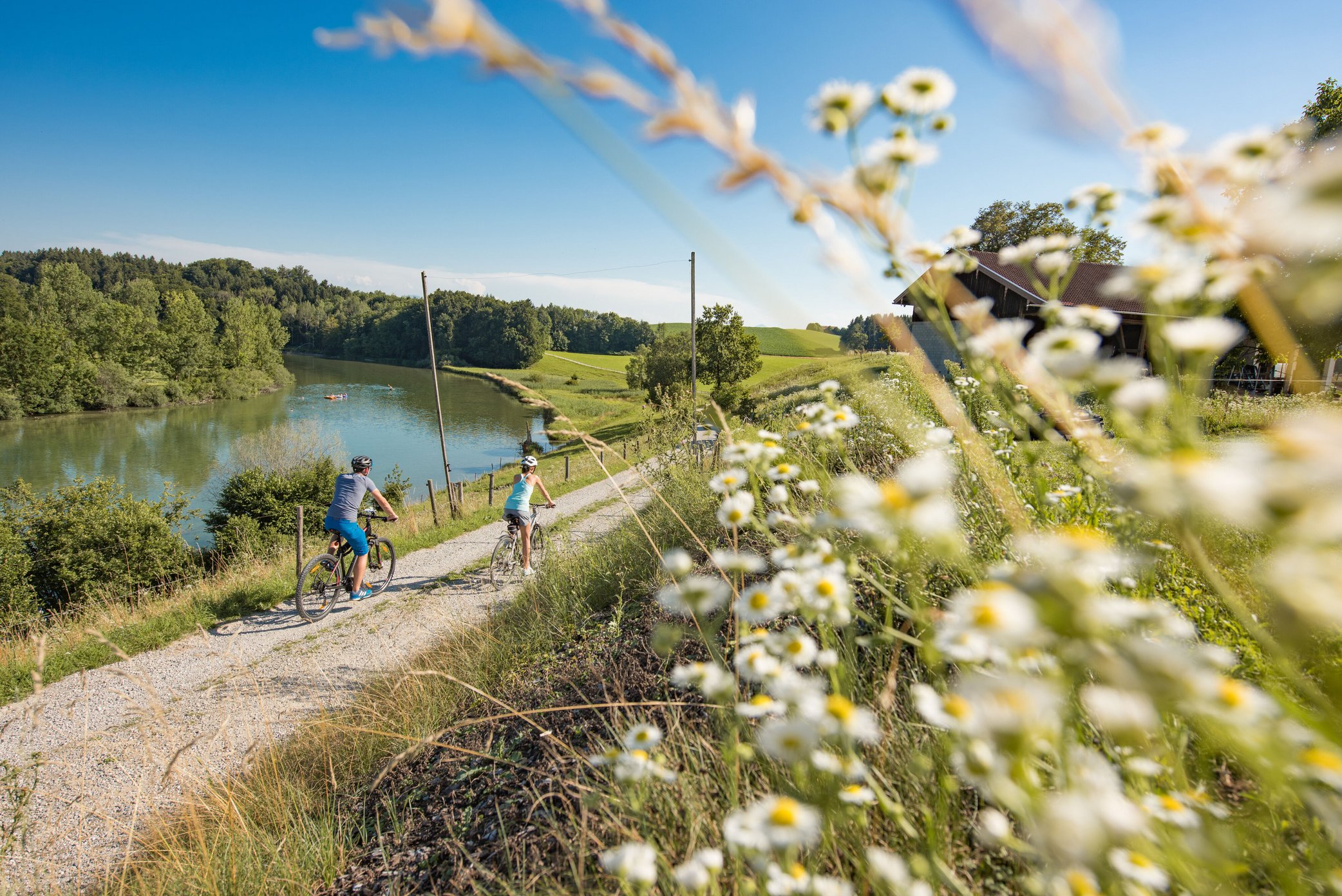 Zwei Radfahrer radeln im Chiemgau dem Alzufer entlang