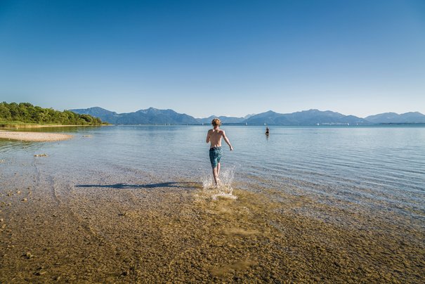 Junge läuft in den Chiemsee, Chiemgauer Alpen im Hintergrund