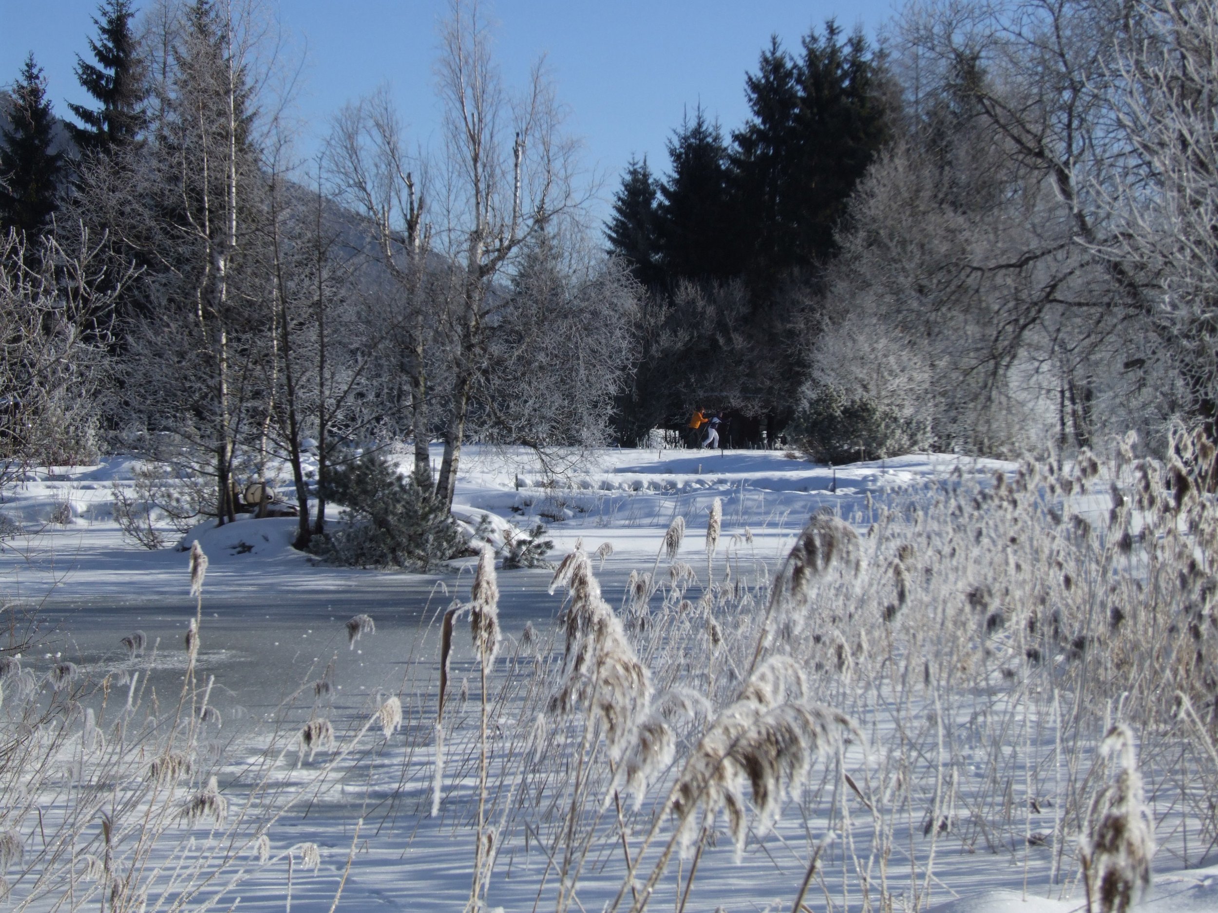 inzell winter landschaft 06