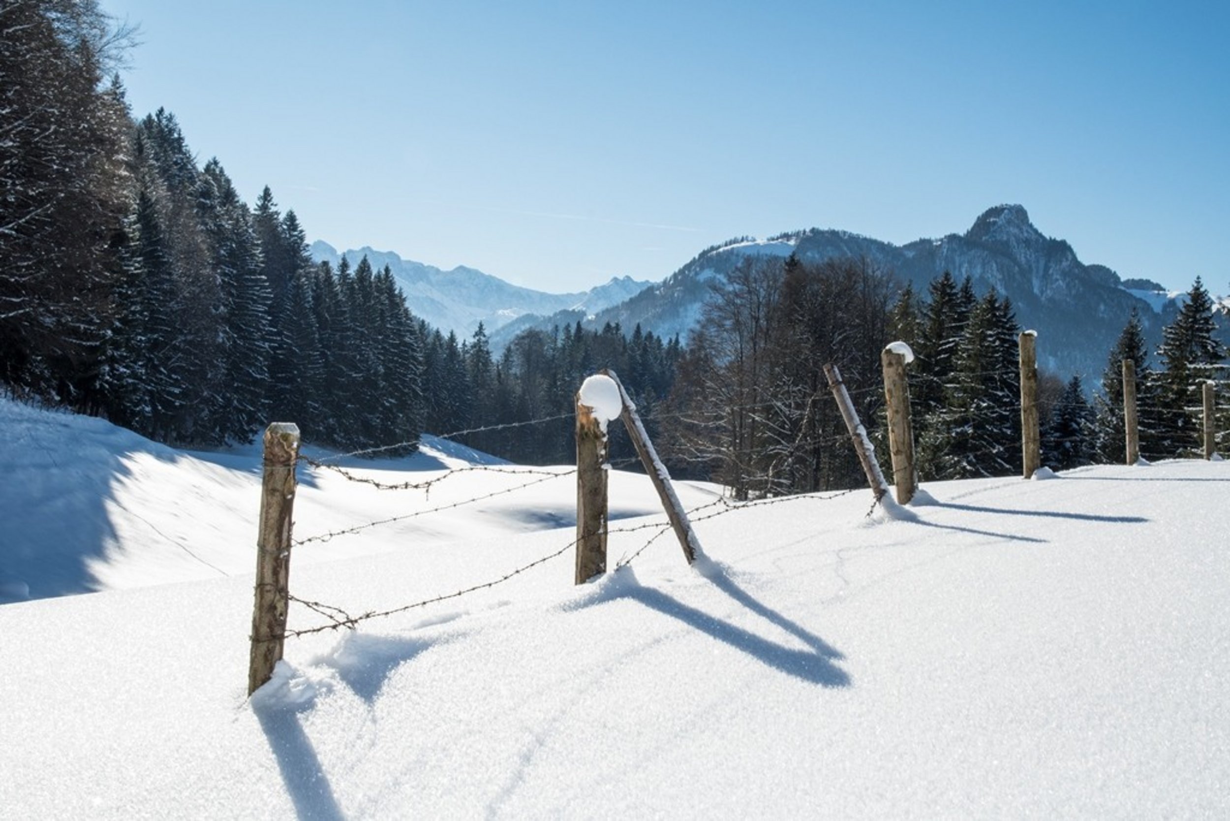 Schneeschuh-Wanderung zur Chiemhauser Alm