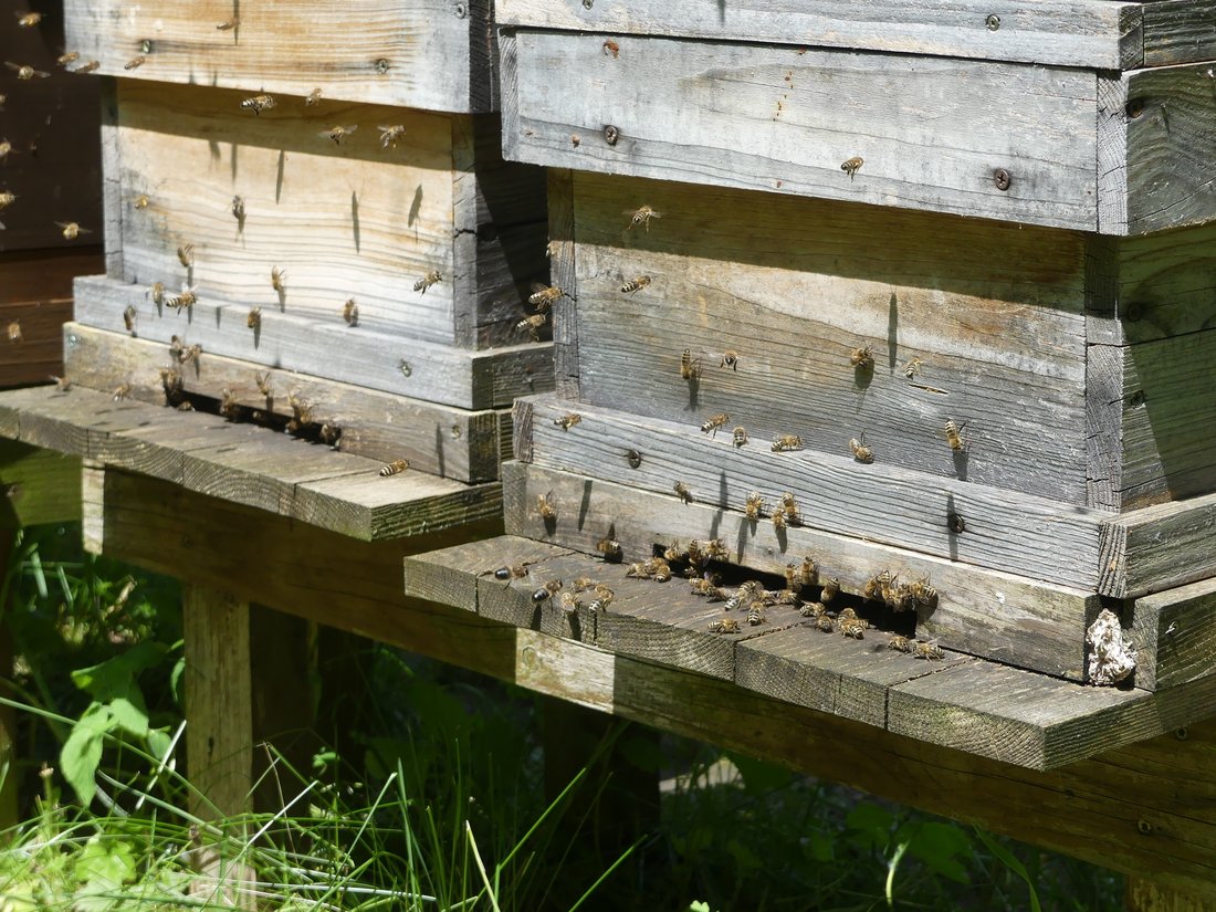Bienenstöcke im Umweltgarten in Wiesmühl