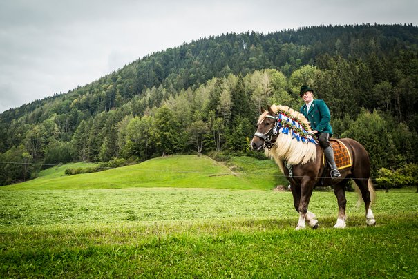 Rider on decorated horse on the meadow on the way to Inzell