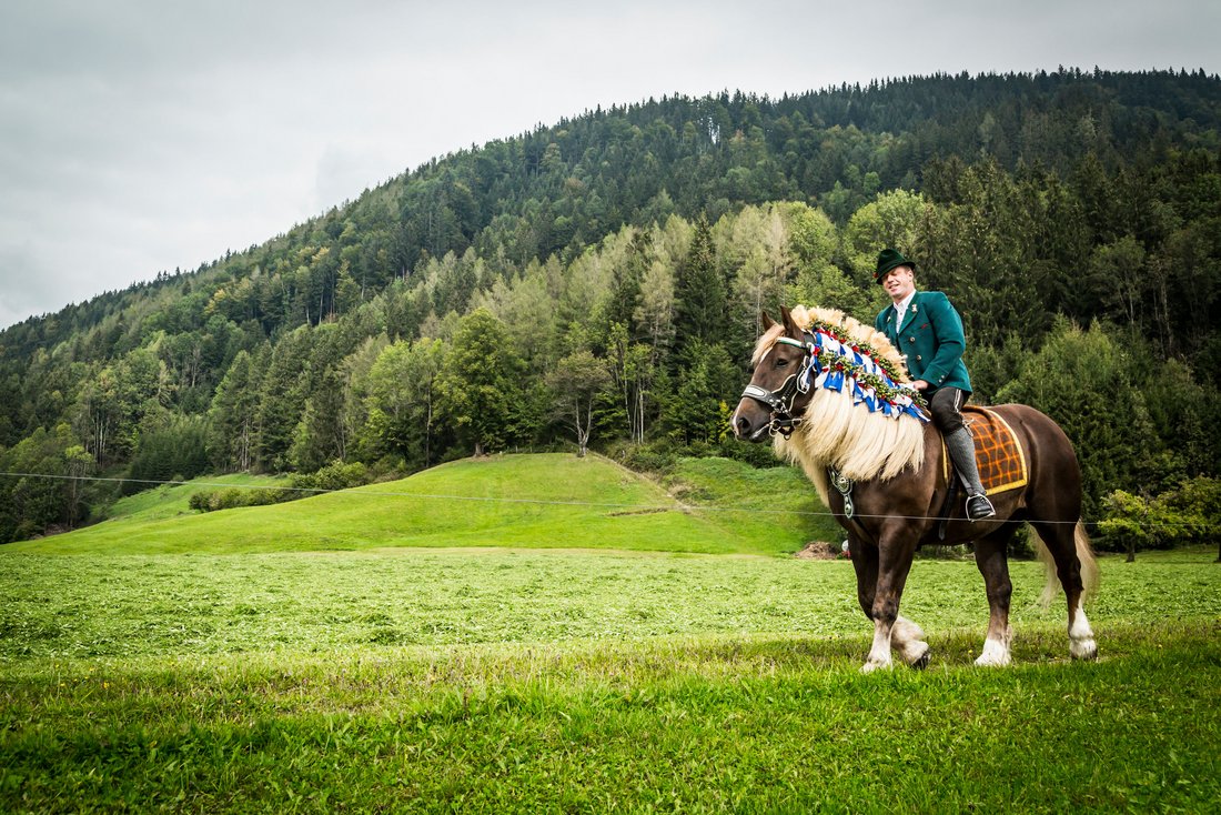 Reiter auf geschmückten Pferd auf der Wiese auf dem Weg nach Inzell