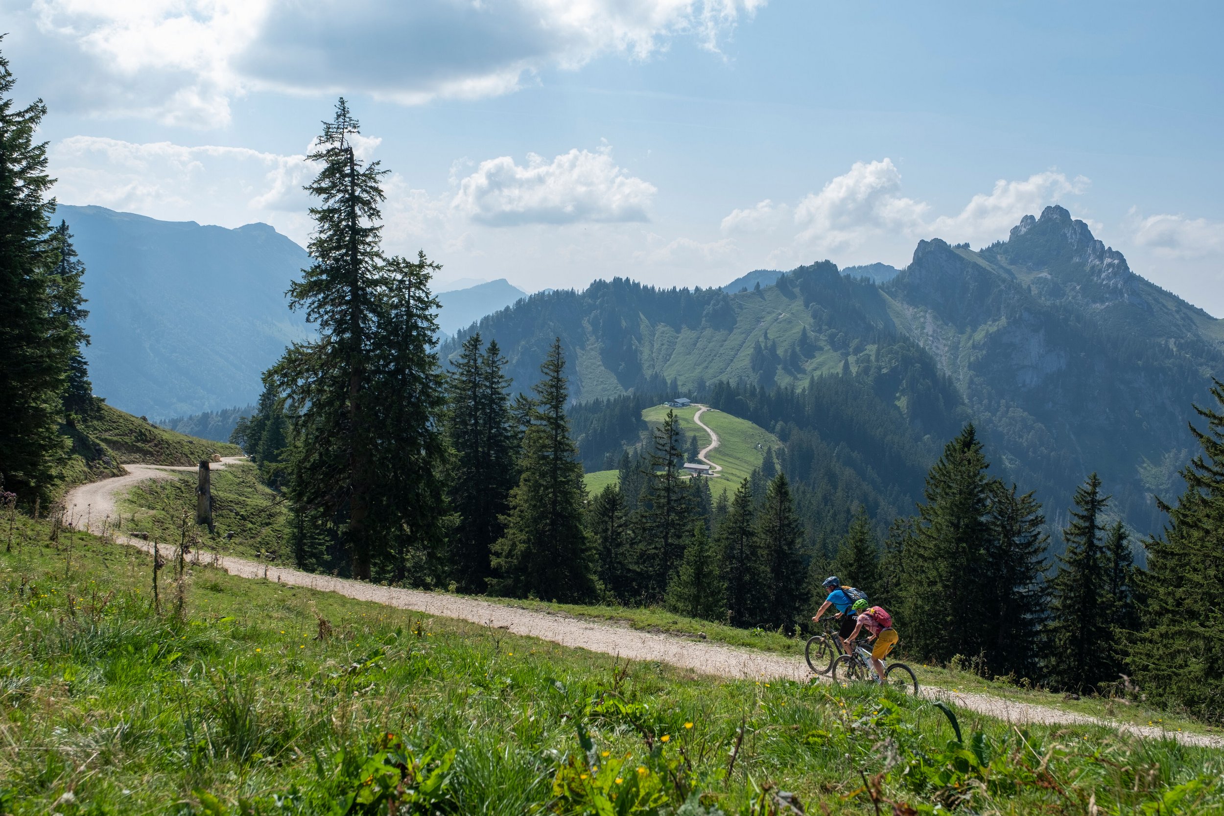 Mountain bikers on the Hochplatten circuit near Grassau