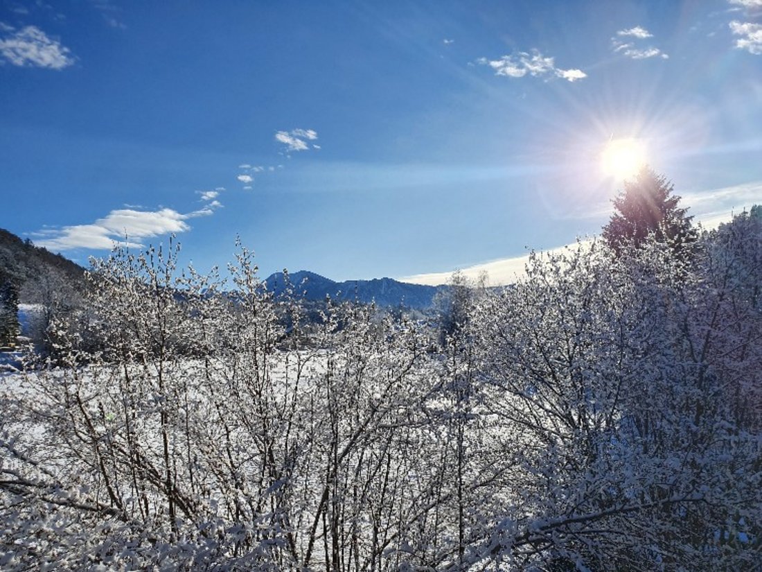 Ausblick im Winter aus der Ferienwohnung Hammer-Alpenblick