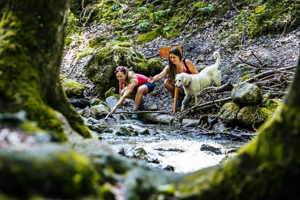 Outdoor fun with your dog in the Inzell mountain forest adventure trail