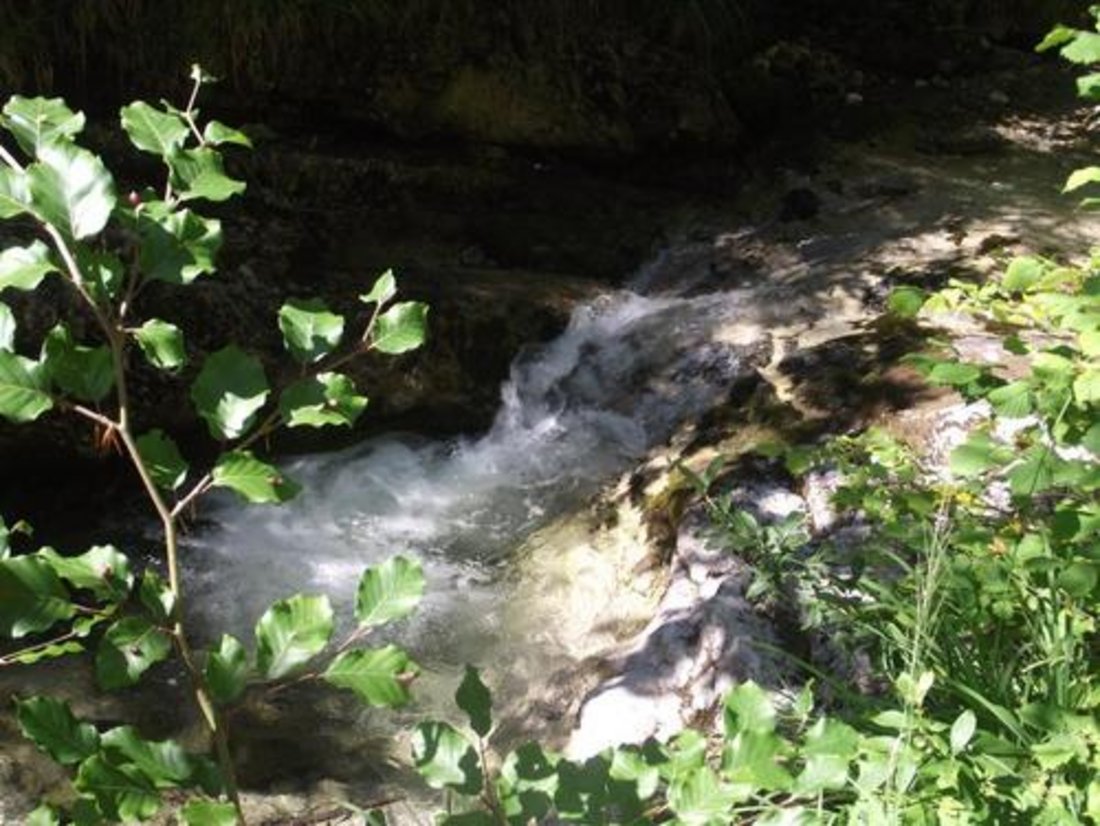 Inzell: der Rückweg von Keitlalm über Bichleralm führt vorbei an plätschernden Gebirgsbächen