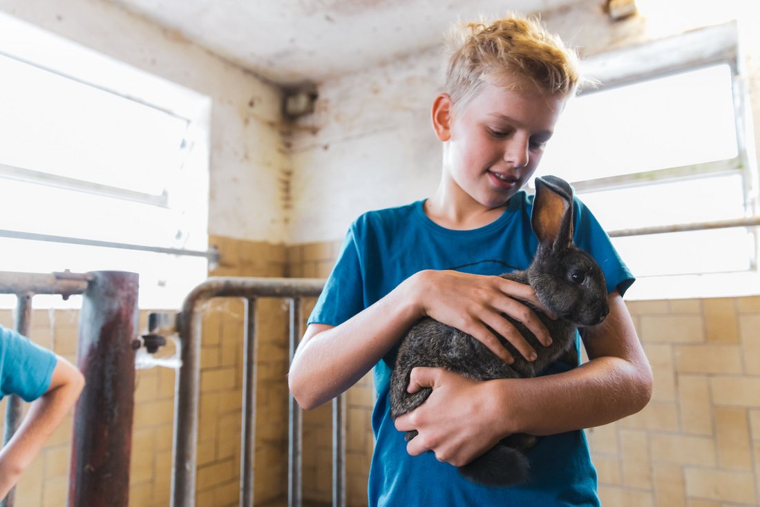 Junge im Stall mit einem Hasen auf dem Arm 