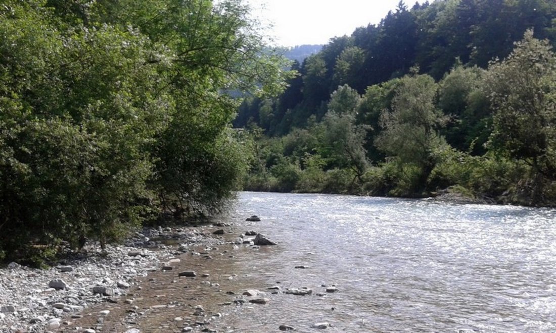 Fluß "Traun" in Siegsdorf