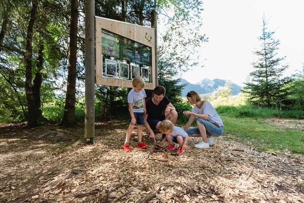 Familie baut Holzmännchen am Moorerlebnispfad in Inzell