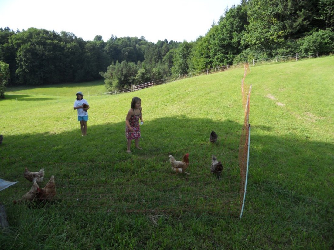 Kaiserhof Kinder mit Hühnern