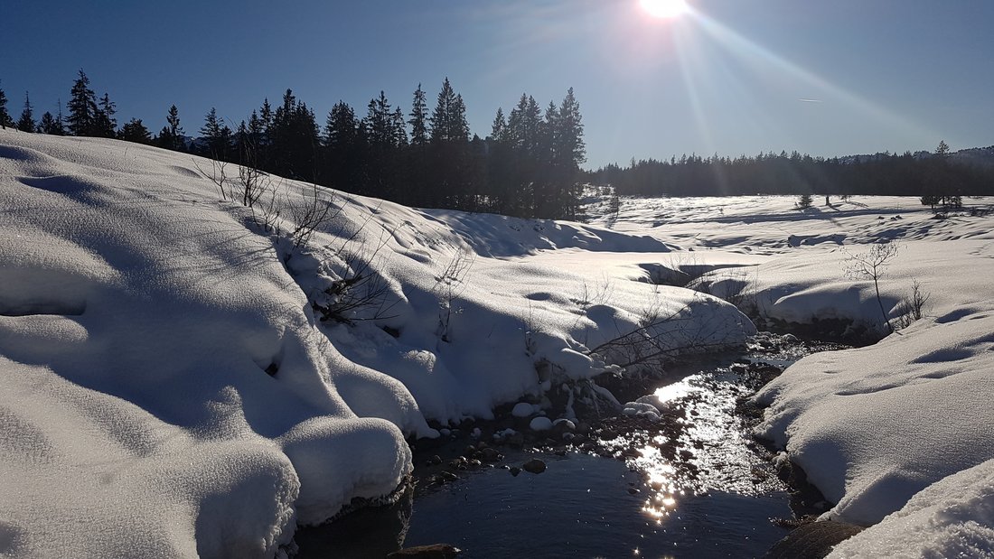 Sonne und Schnee auf der Winklmoos - Alm