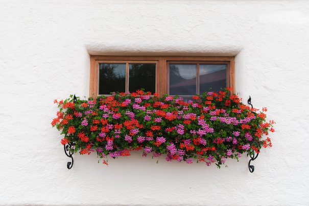 Flowers in front of a window on the Wimmerhof in Inzell