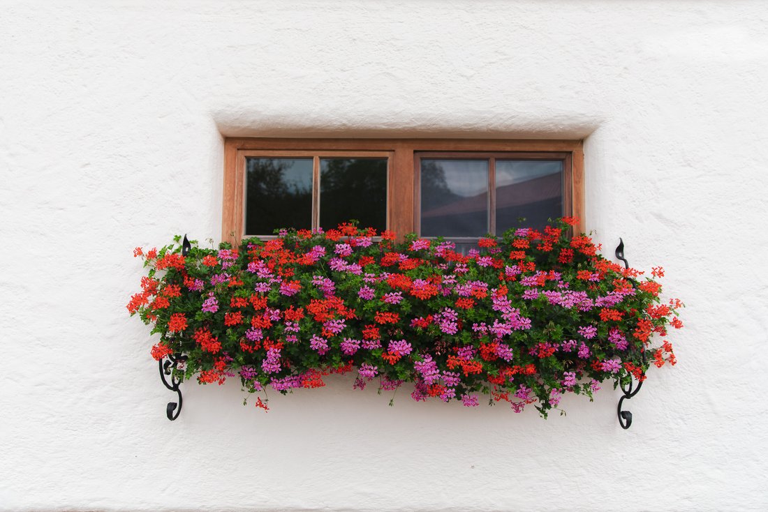 Blumenschmuck vor einem Fenster auf dem Wimmerhof in Inzell