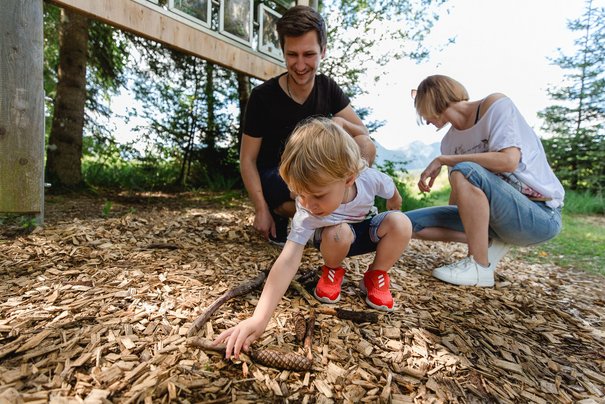 Ein Junge sammelt Fichtenzapfen gemeinsam mit seinen Eltern