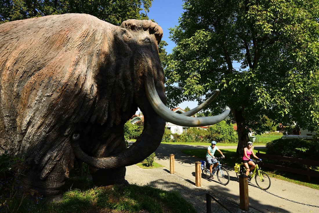 Radfahren in Siegsdorf mit Mammut