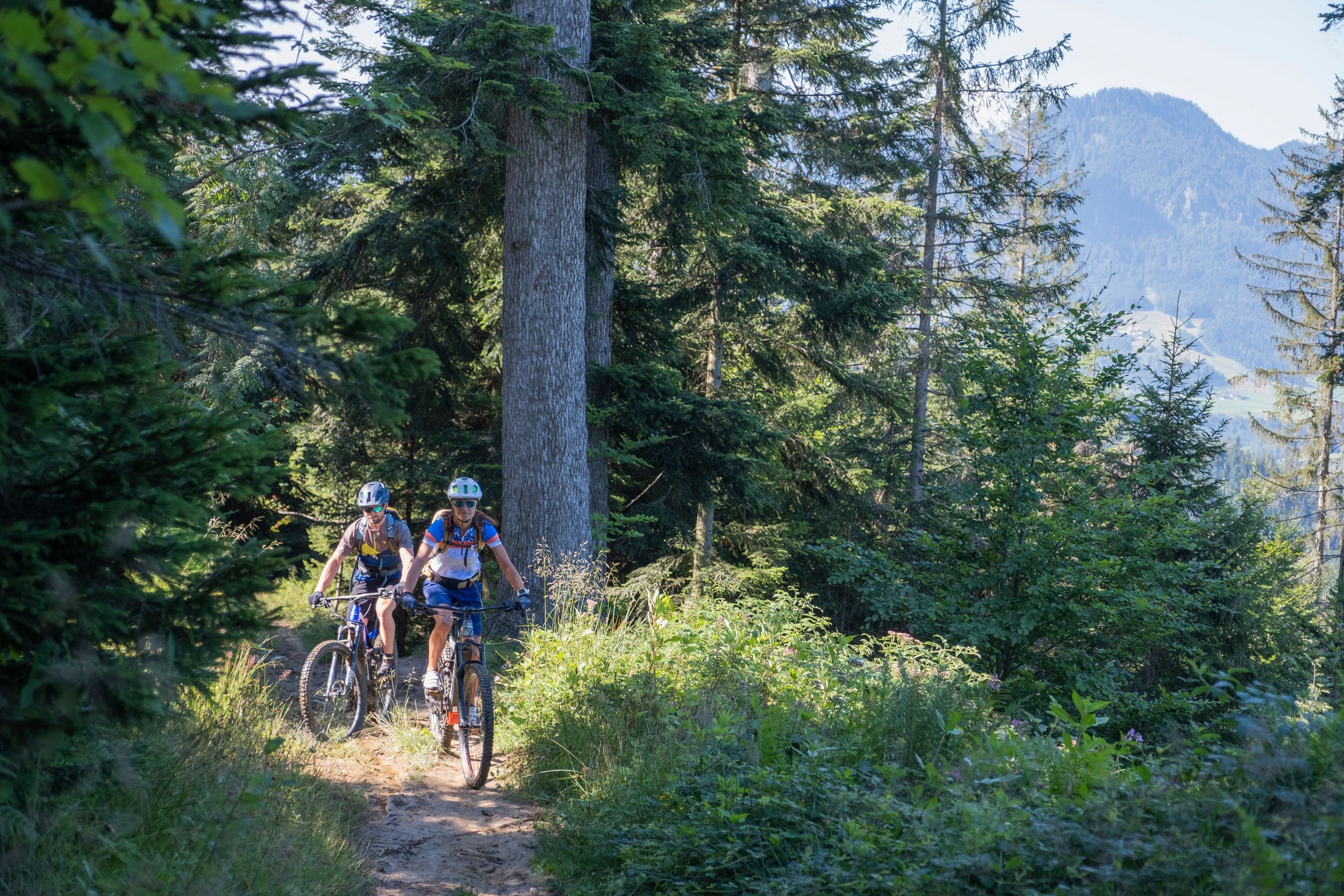 Mountainbiker am Zinnkopf im Wald