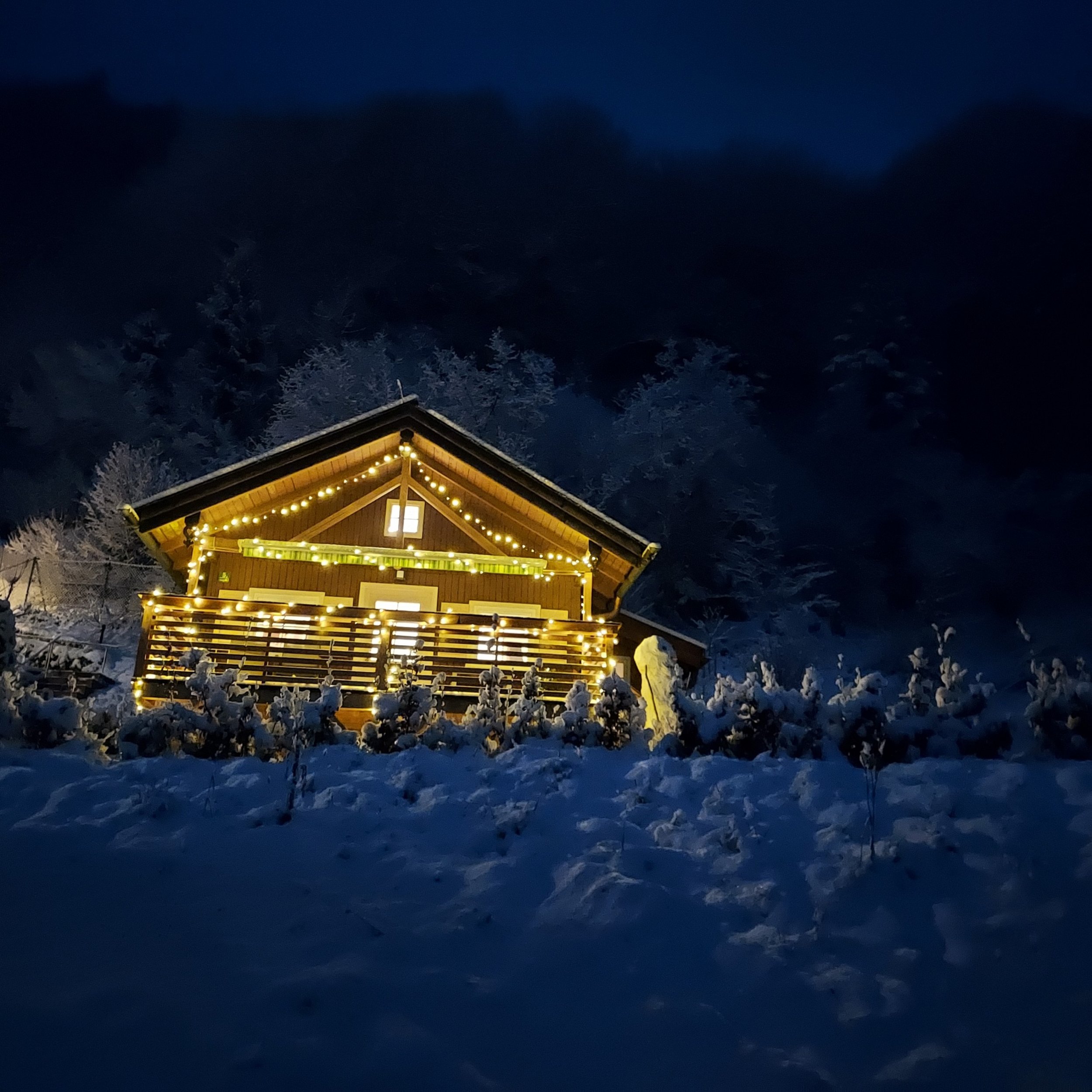 Ferienhütte im Winter