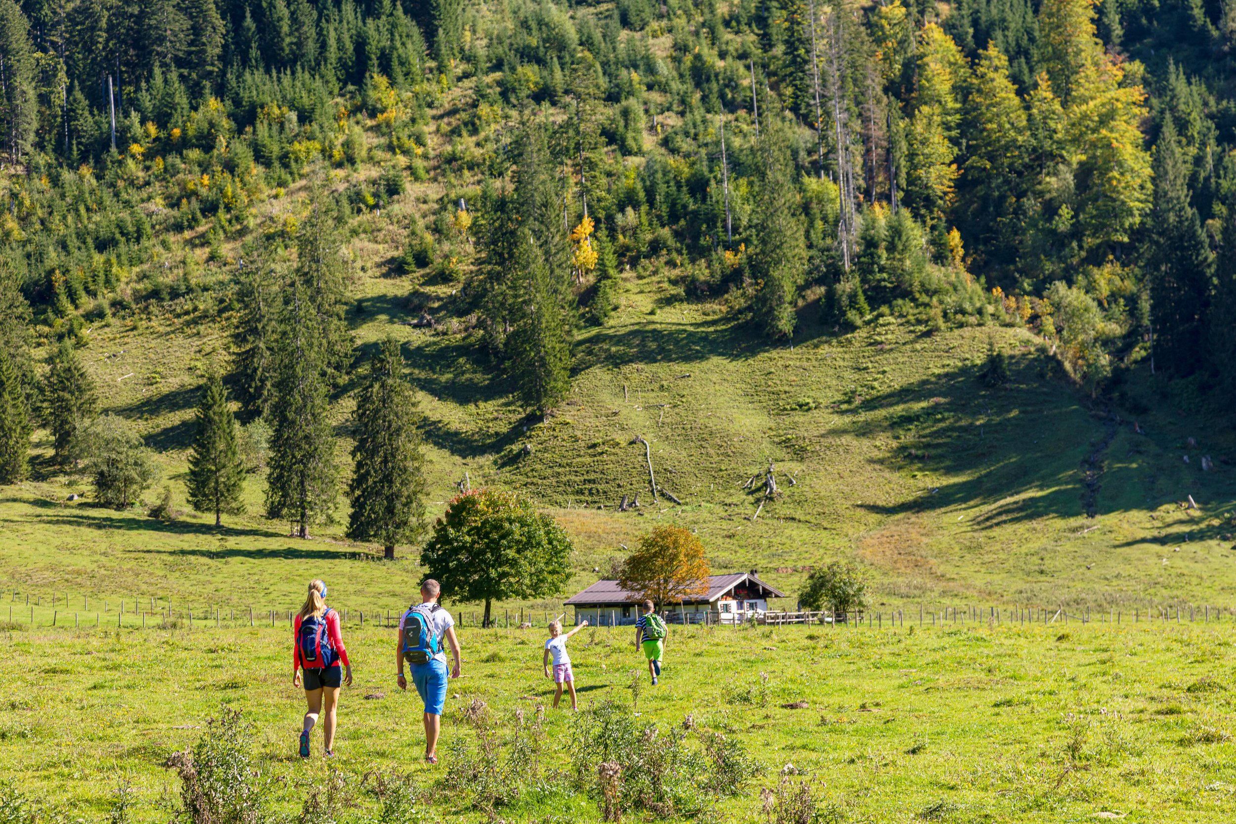 Family hikes to the Röthelmoosalmen in autumn