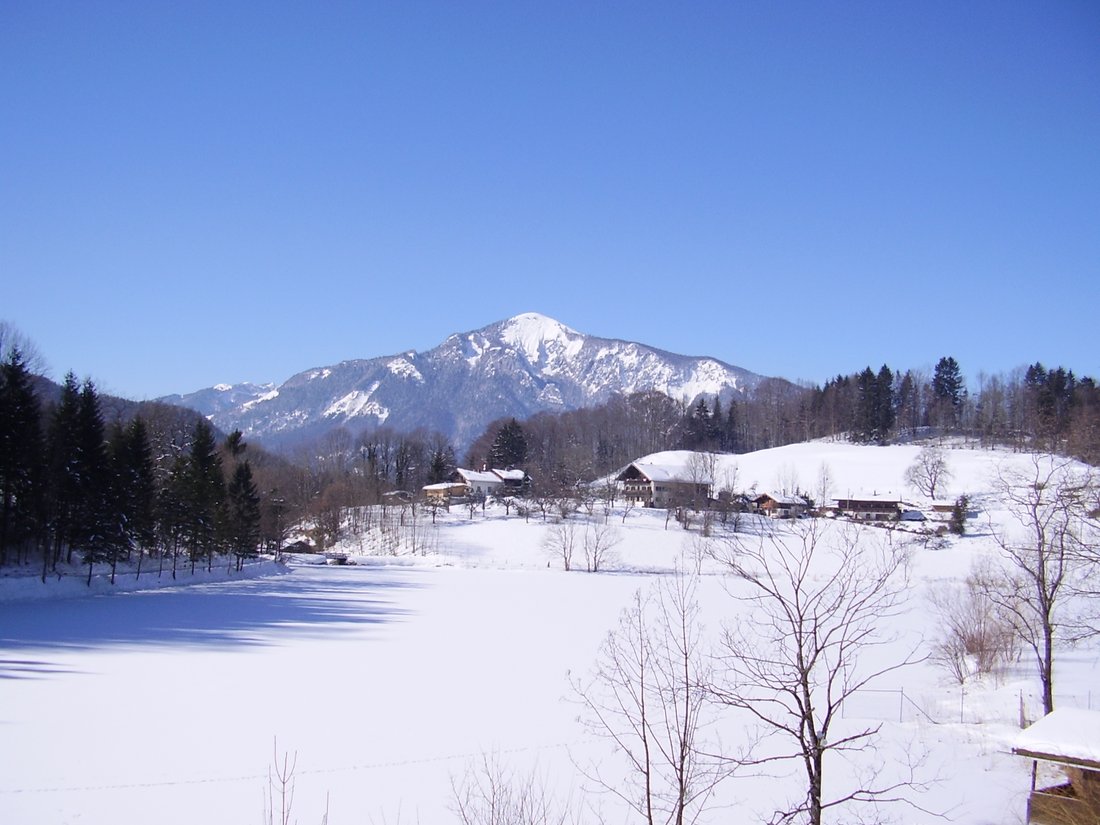 Winter am Wössner See