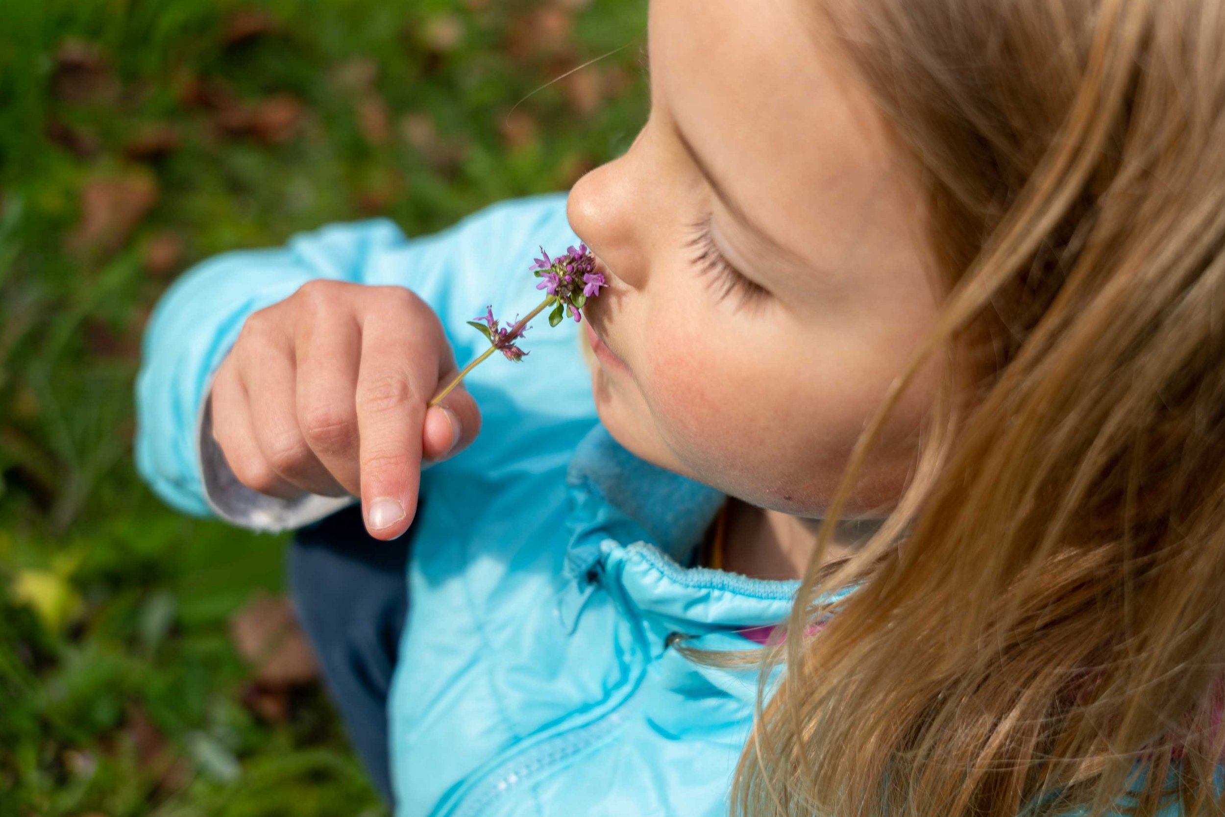 Mädchen riecht an Wildkräuterblume