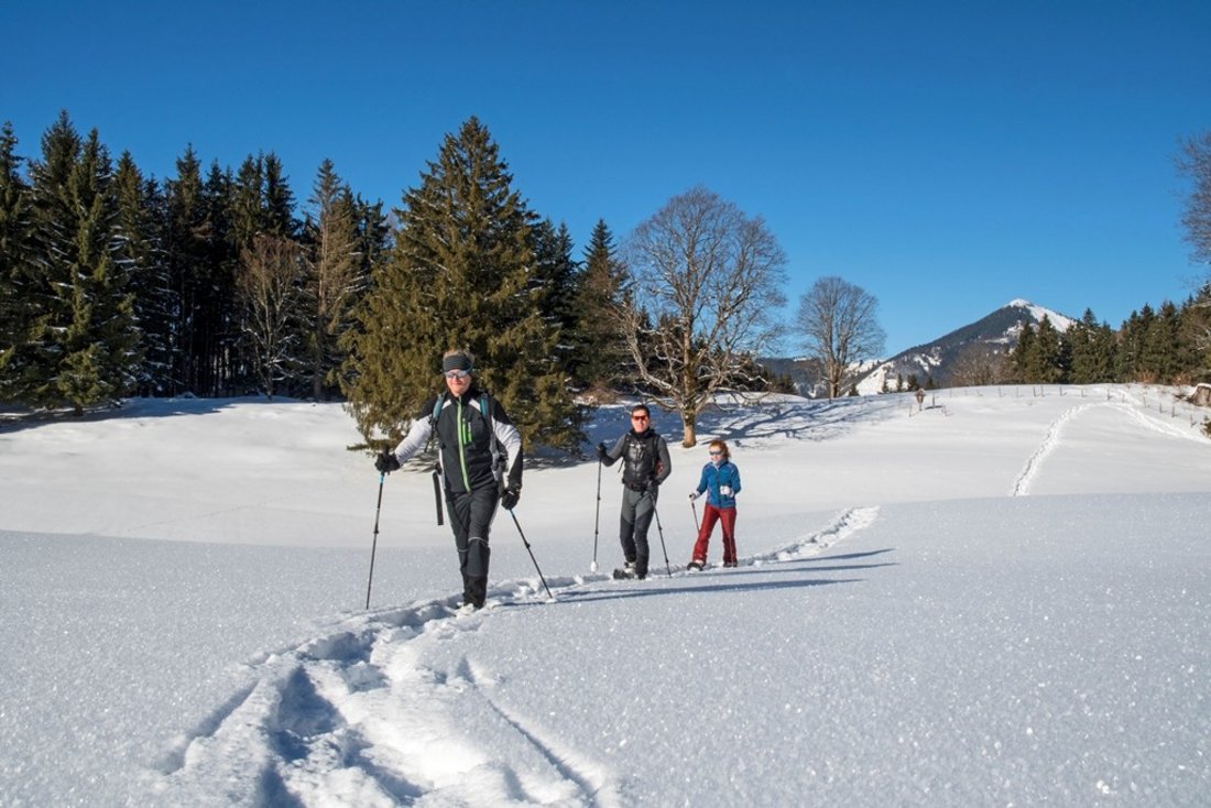 Schneeschuh-Wanderung  über die Blasi-Alm nach Ettenhausen