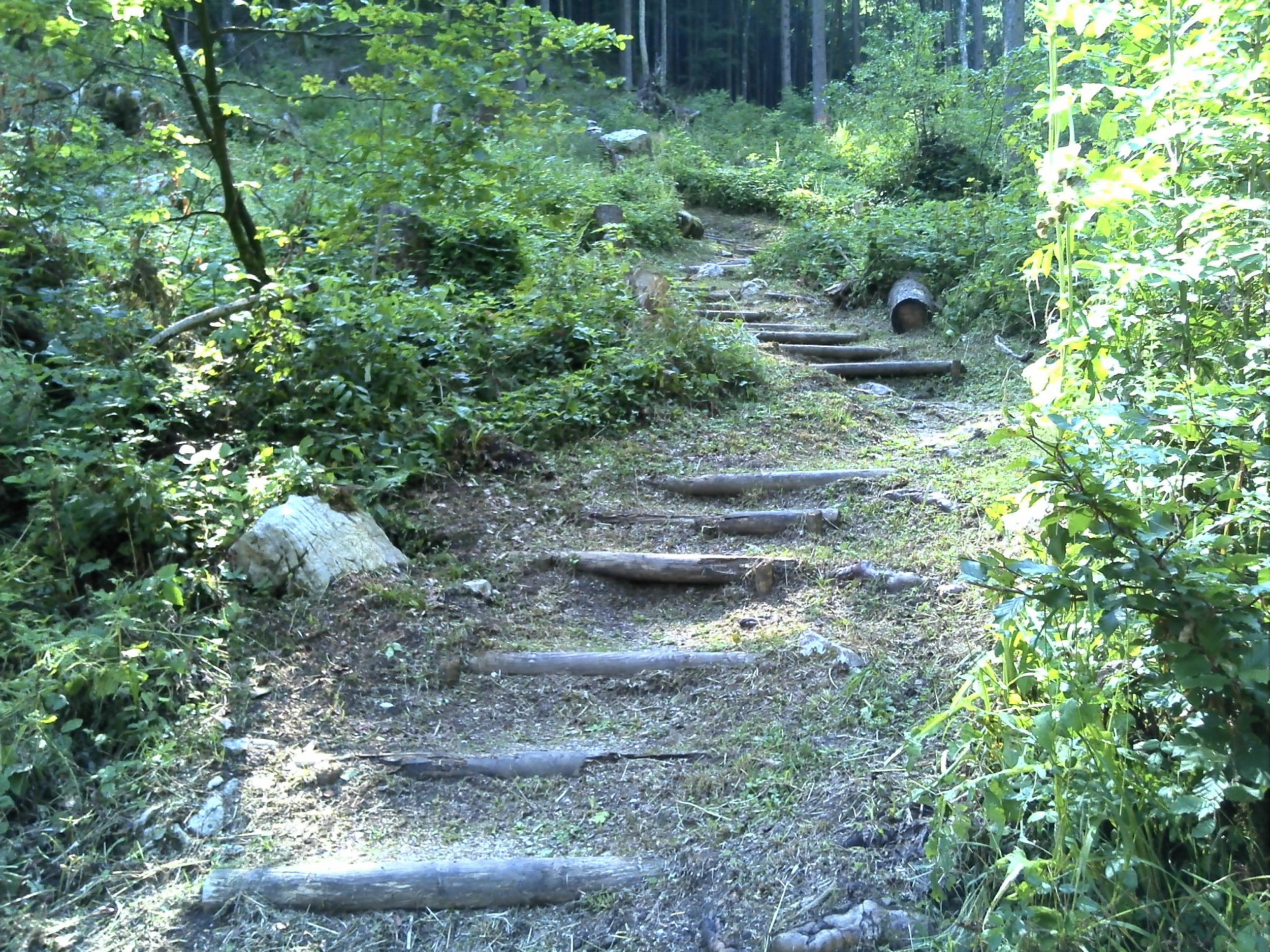 Stufenweg am Eglsee