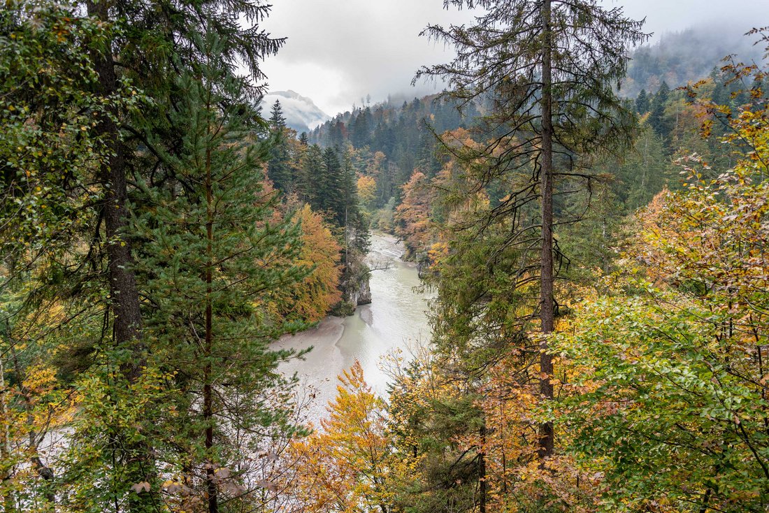 Blick von oben auf die Tiroler Ache im Herbst vom Schmugglerweg aus