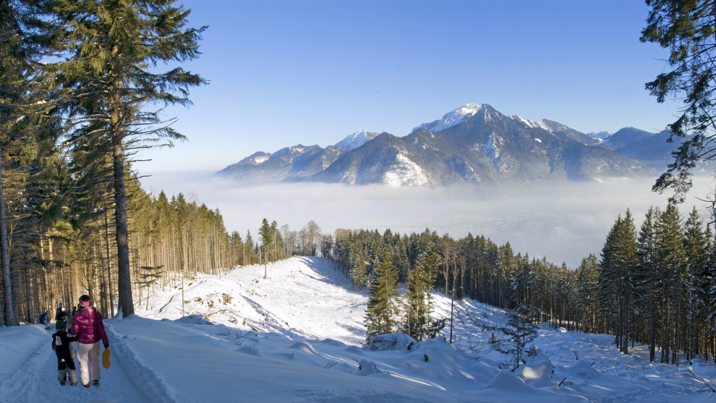 Winterwanderweg zur Bergstation, Rodelbahn und Staffn-Alm