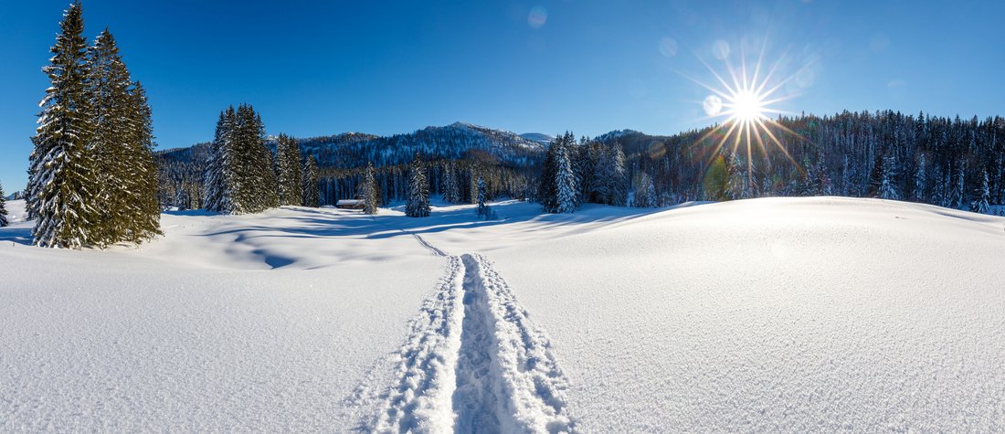 Spuren von Wanderern im Schnee auf der Hemmersuppenalm in Reit im Winkl