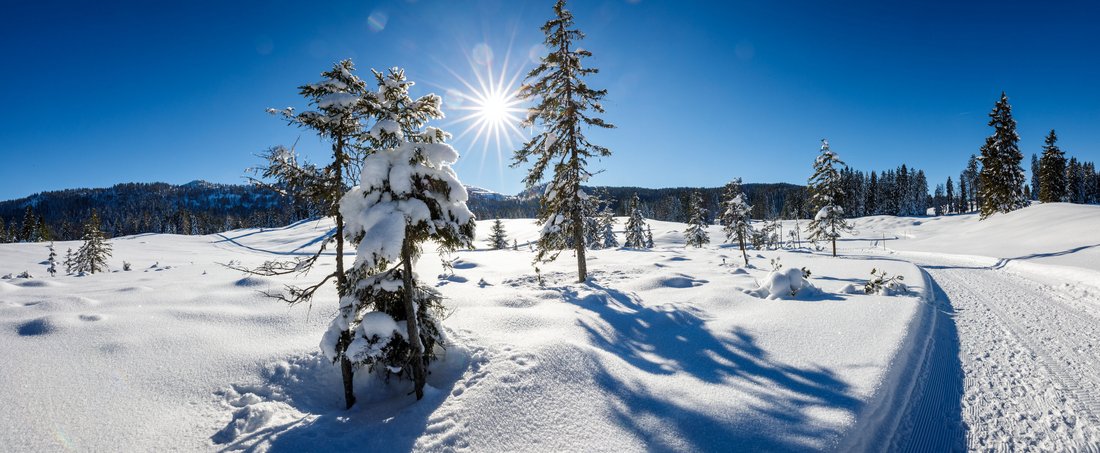 Perfekte Bedingungen zum Winterwandern auf der Hemmersuppenalm in Reit im Winkl