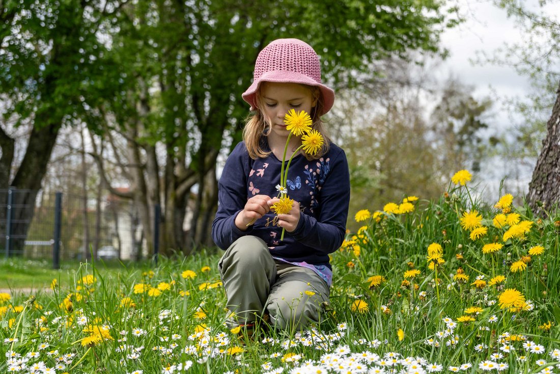 Mädchen pflückt Blumen auf einer Wiese