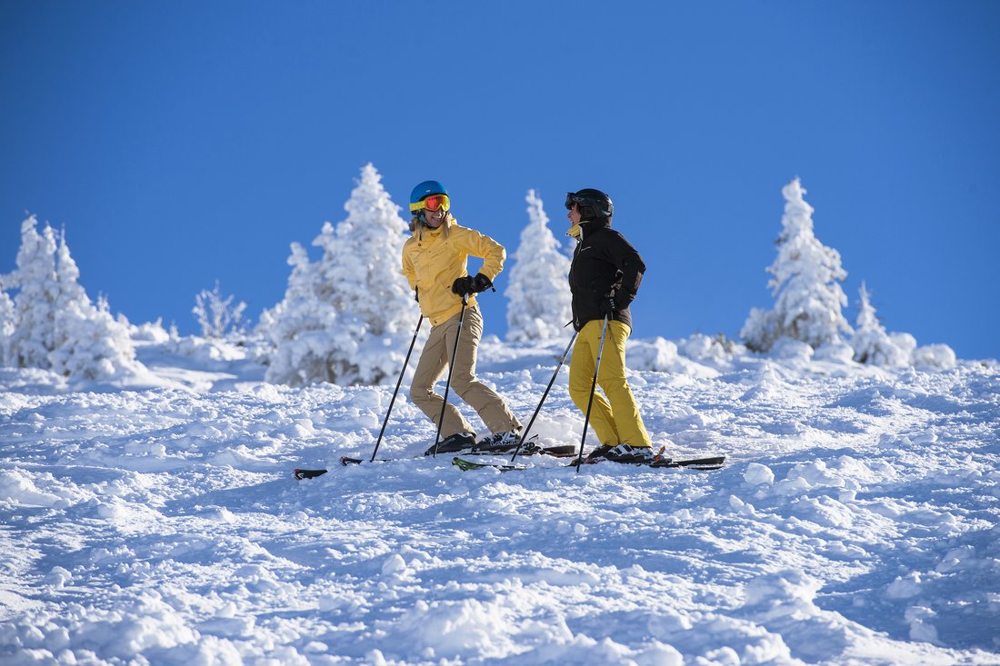 Skiers on the Winklmoosalm in Reit im Winkl