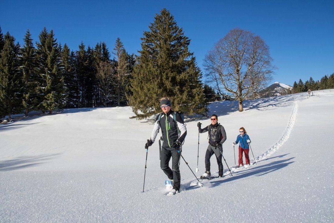 Schneeschuh-Wanderung zur Huber-Alm (Weitwies)