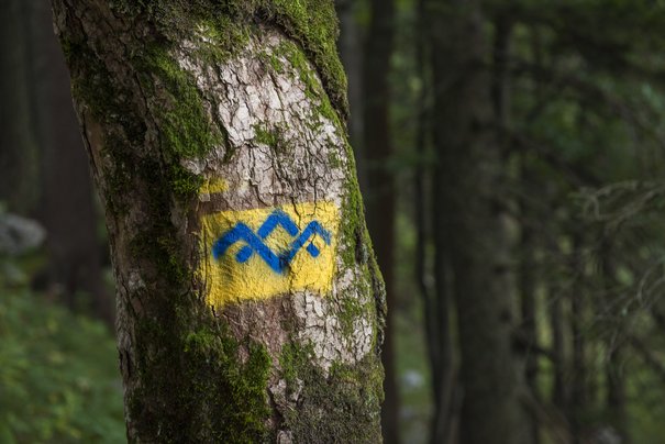 Logo of the long-distance hiking trail "Salzalpensteig" on a tree