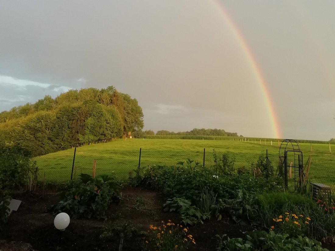 Garten mit Regenbogen am Horizont