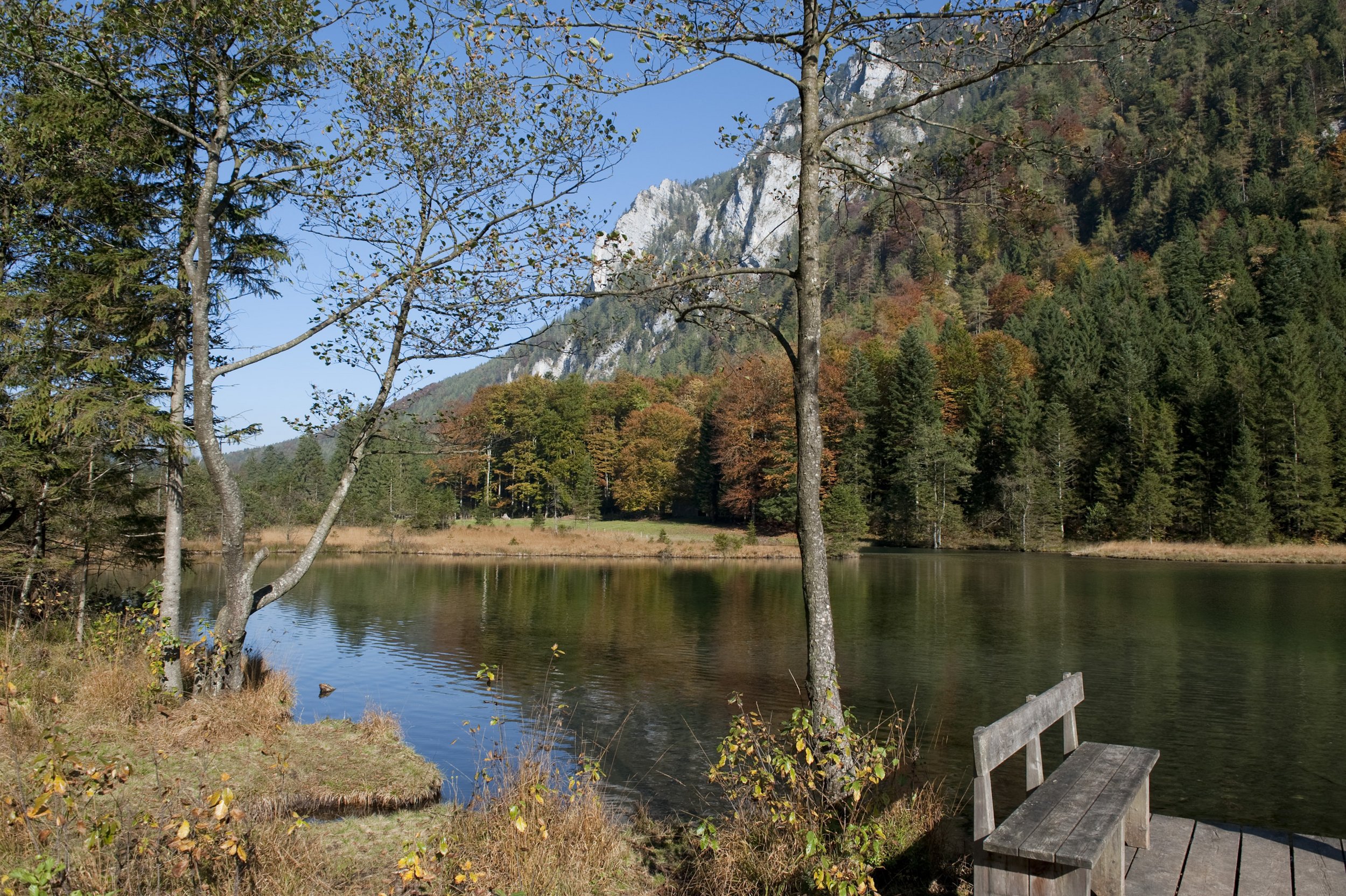 Inzell/Chiemgau im Herbst - der idyllisch gelegene Falkensee