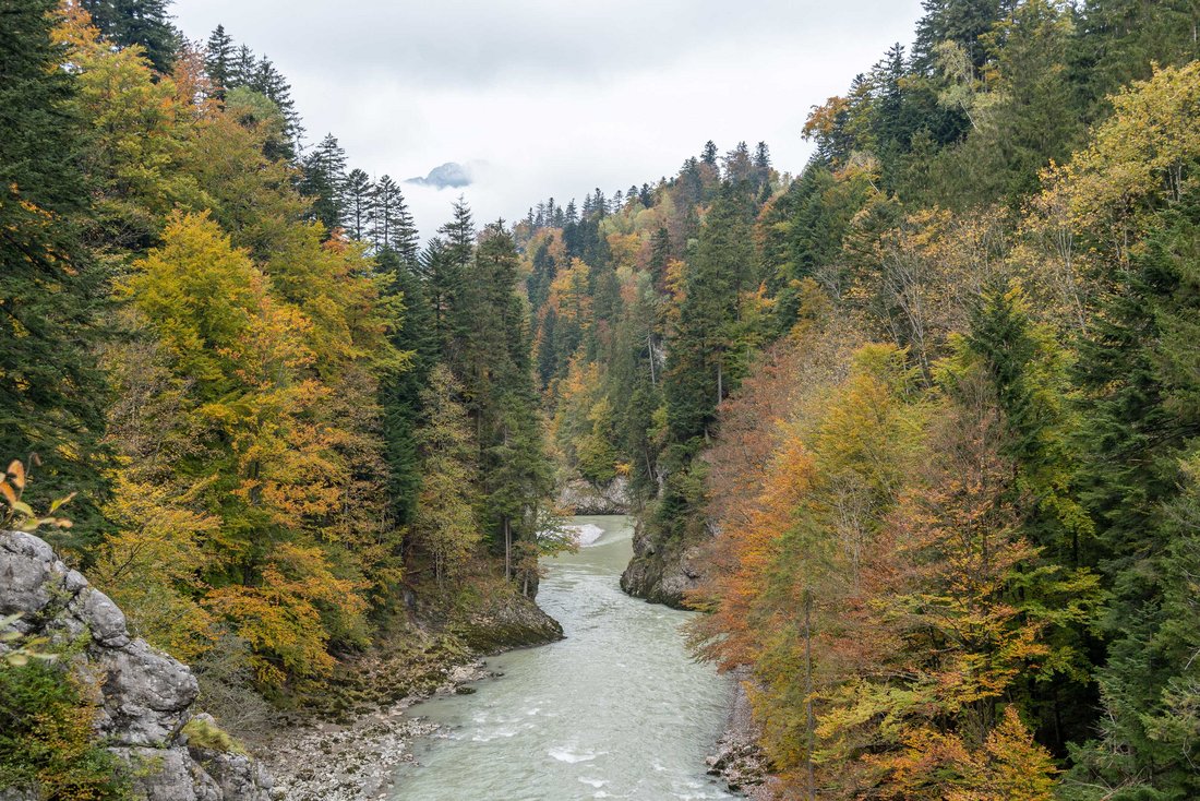 Blick von einer Hängebrücke auf die Tiroler Ache im Herbst