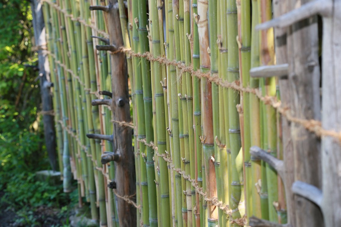 Bambuszaun im Garten