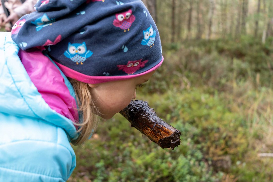 Mädchen riecht an einem Holzstock im Schönramer Filz