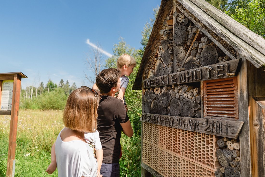 Family in front of an insect hotel on the Inzell moor adventure path