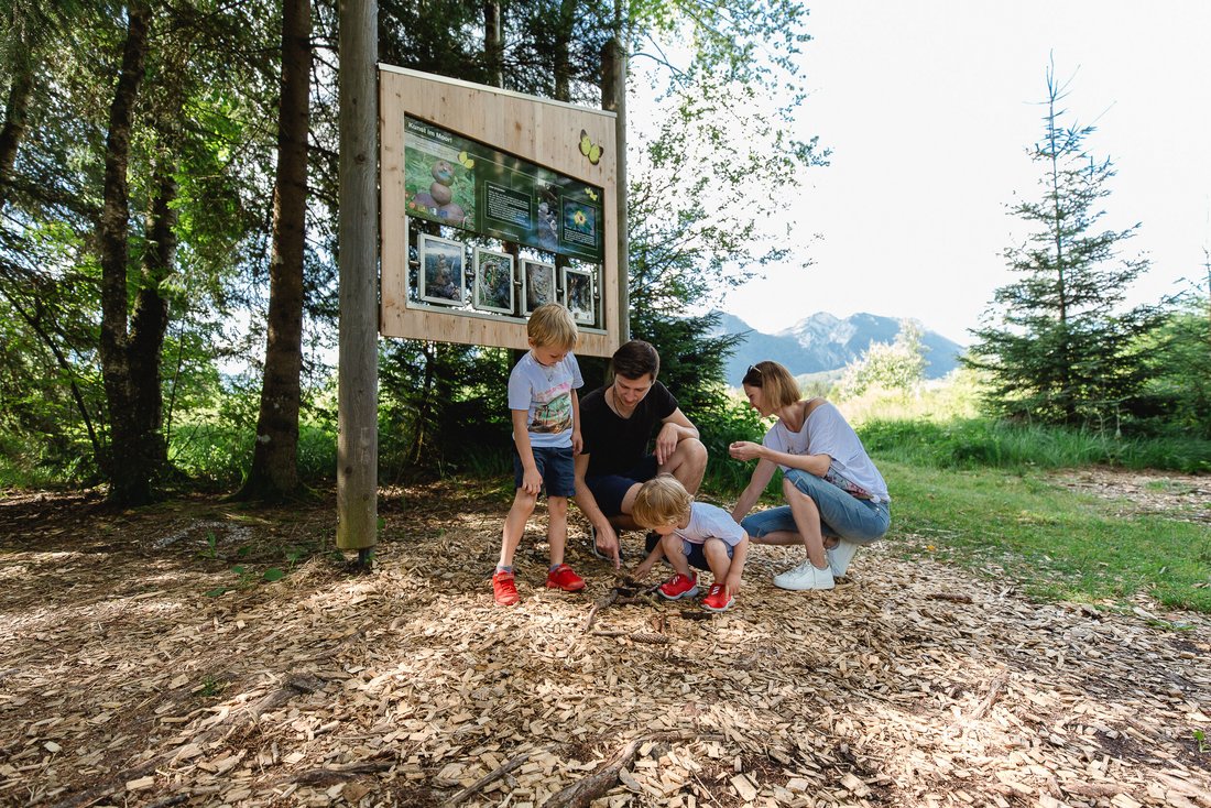 Familie erkundet den Waldboden im Moor-Erlebnis-Pfad Inzell