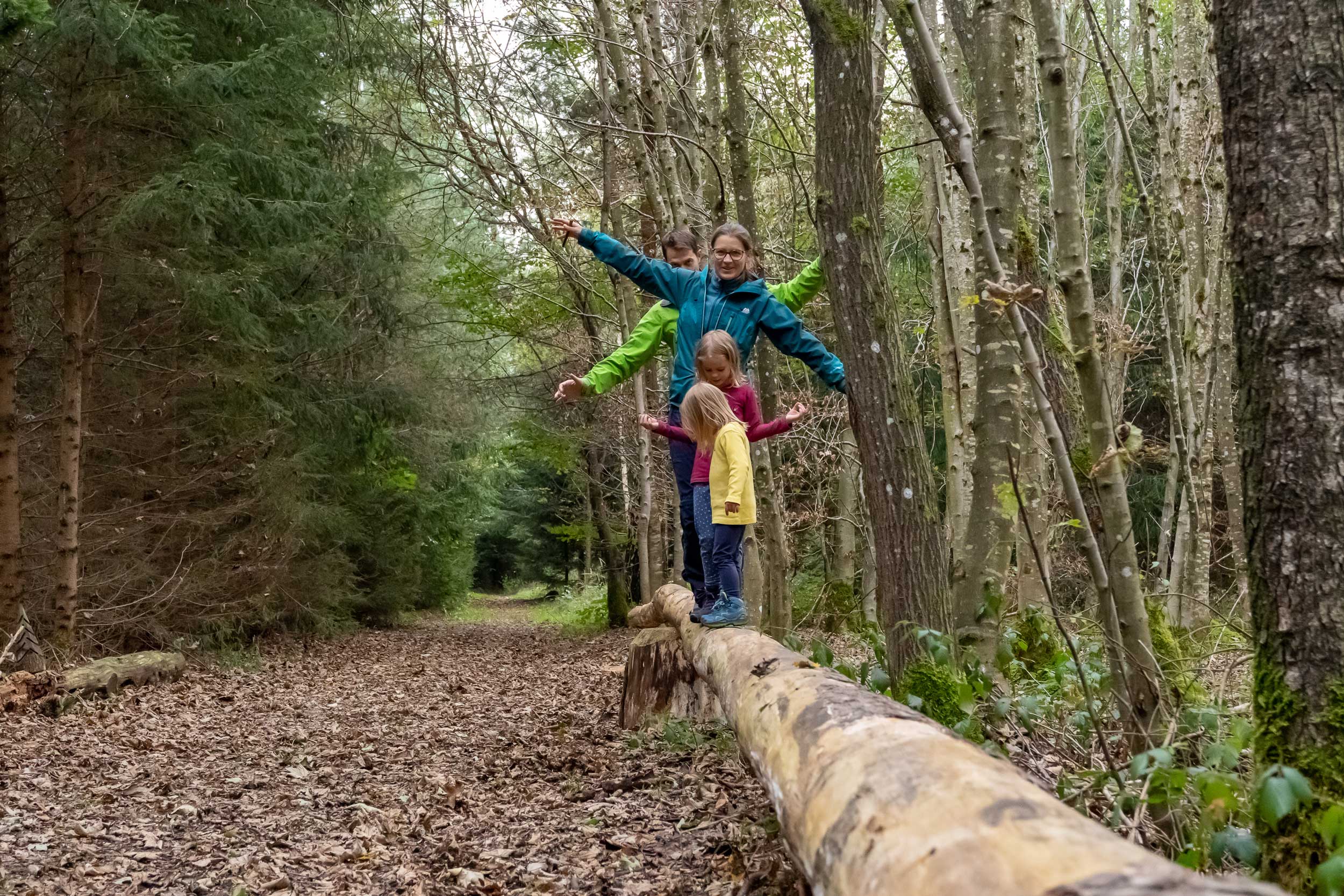 Kinder beim Balanzieren auf dem Walderlebnispfad Meggenthal