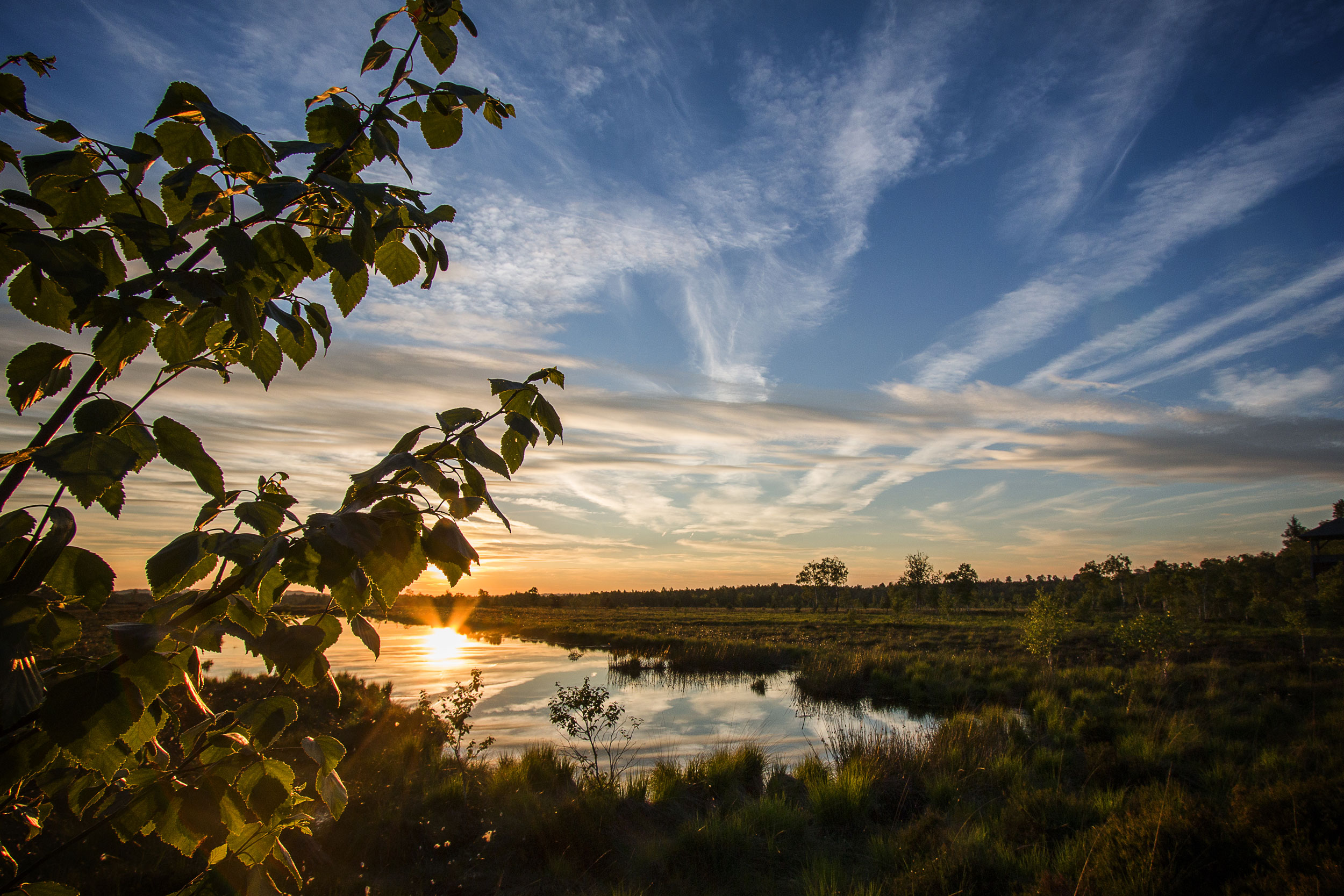 Evening mood in the Grassau Kendlmühlfilze